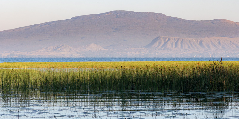 Lake Awassa