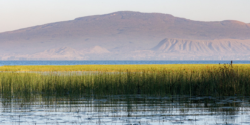 Lake Awassa