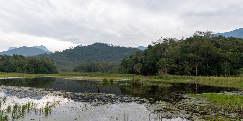 Zone humise de Regua