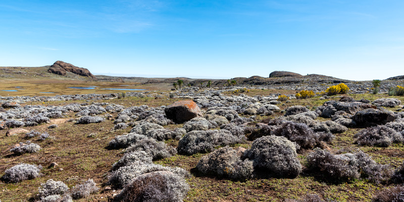 Paysage du plateau de Sanetti