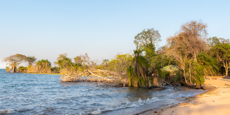 Rivage du Lac Victoria, Parc national de Rubondo 