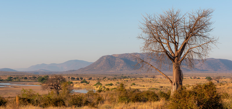 Paysage du Parc national de Ruaha