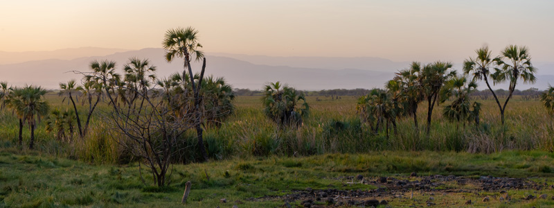 Aledeghi reserve