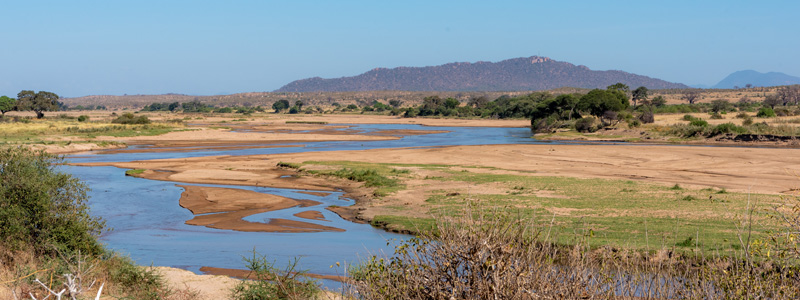 Paysage du Parc national de Ruaha