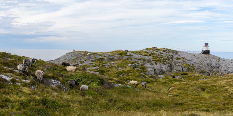 View on one of the island's lighthouses.