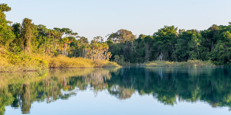 Paysage du Rio Claro