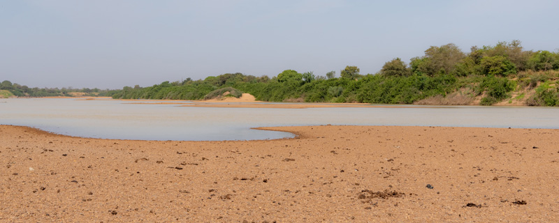 Milieu du Pluvian fluviatile sur la White Volta River vers le village de Daboya