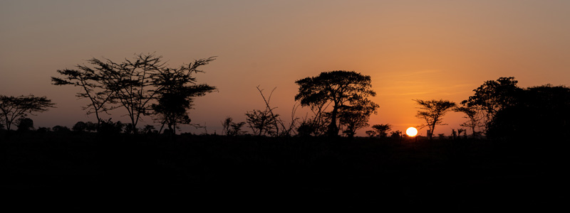 Lever du soleil sur la plaine de Liben, au sud-est de Negele