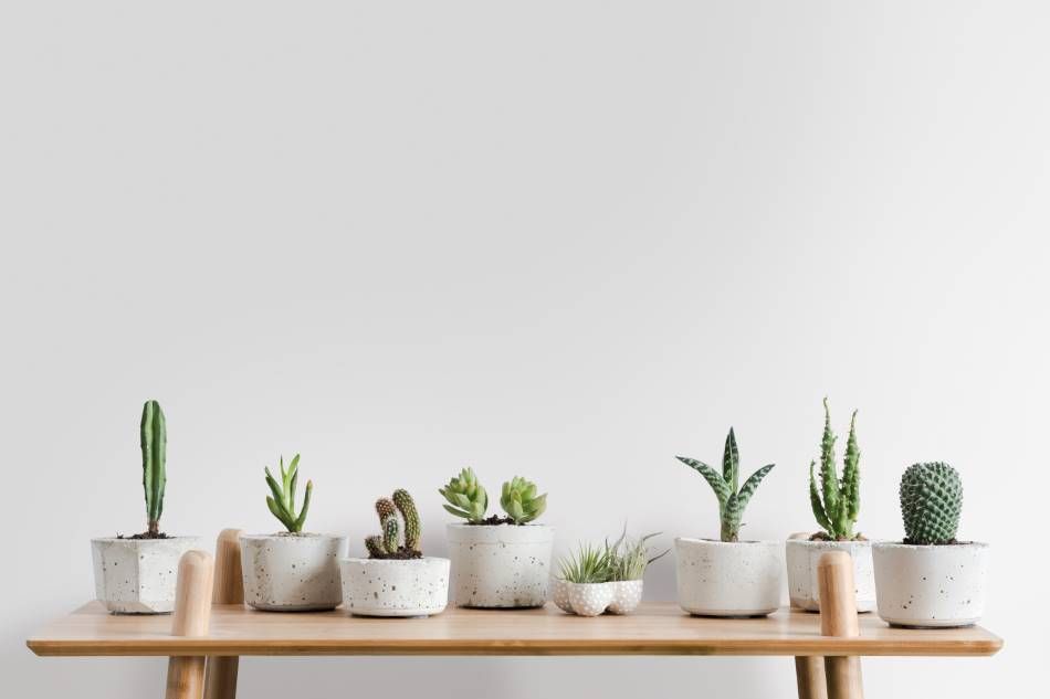 N3 Porcelain