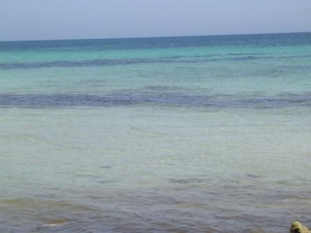 Mahdia