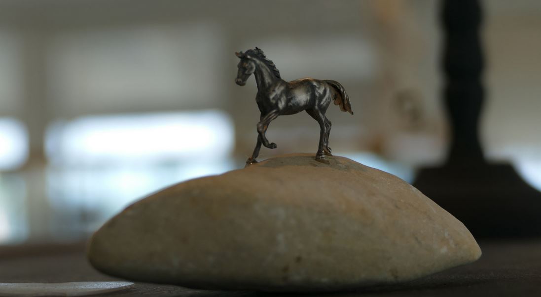 Pferd