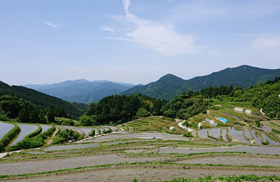 天空の隠れ里 樫谷棚田