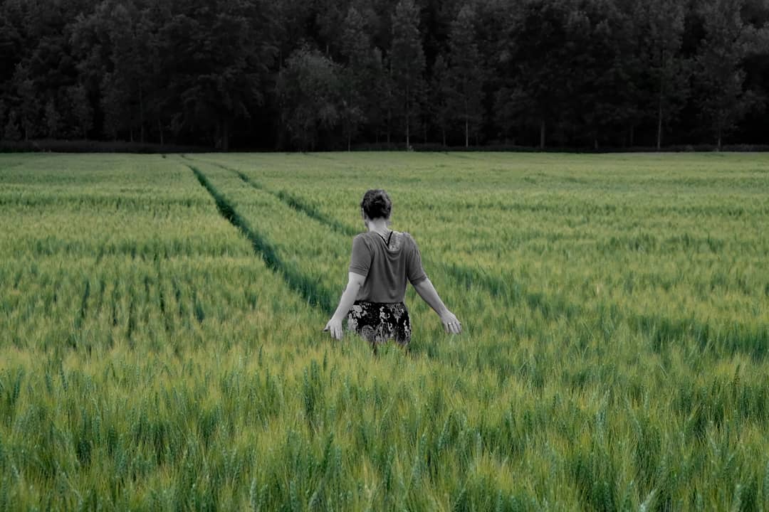 Kontakt Massage Ayurveda Kinesiologie in LinzLand, Ansfelden