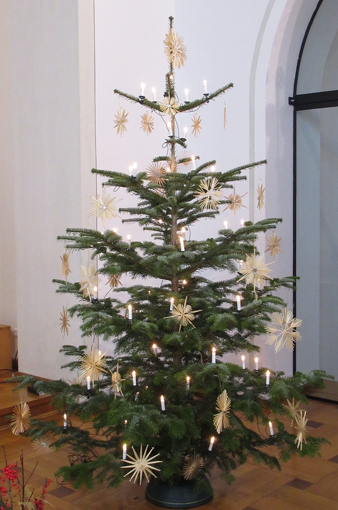 Weihnachtsbaum