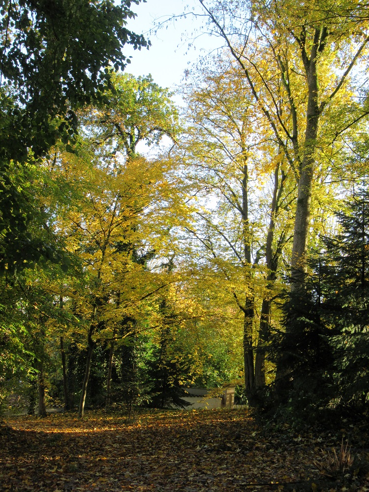 goldene Aussichten