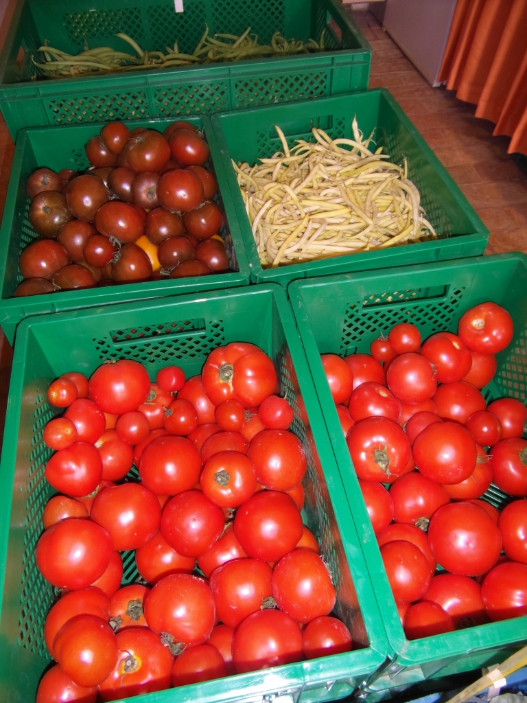 rote Tomaten, dunkle Tomaten, gelbe Bohnen