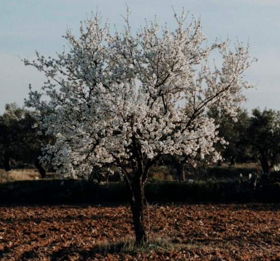 c/o Seif Eddin Khayat on Unsplash