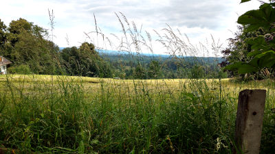 Wiese mit blick richtung ammersee, bad heilbrunn, feld und bäume