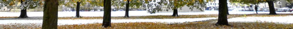 winterbäume, foto