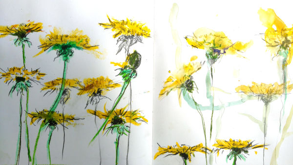 Pleineairmalerei, Löwenzahn studien mit farbe, skizzenbuch