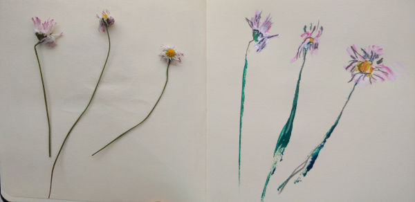 Skizzenbuch, blumen, skizzenbuch