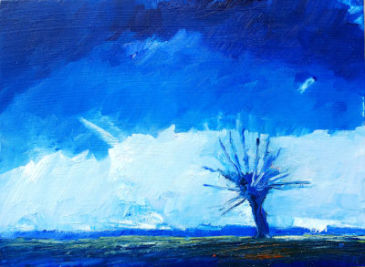 Blauer Himmel, Wlke am Horizont, Weide im Gegenlicht