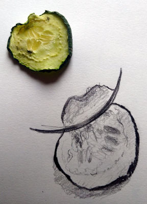 bleistiftskizze, zuccini