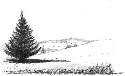 landschaftsstudie zu nah-fernwirkung, tanne dunkel, vorne, hügel im hintergrund