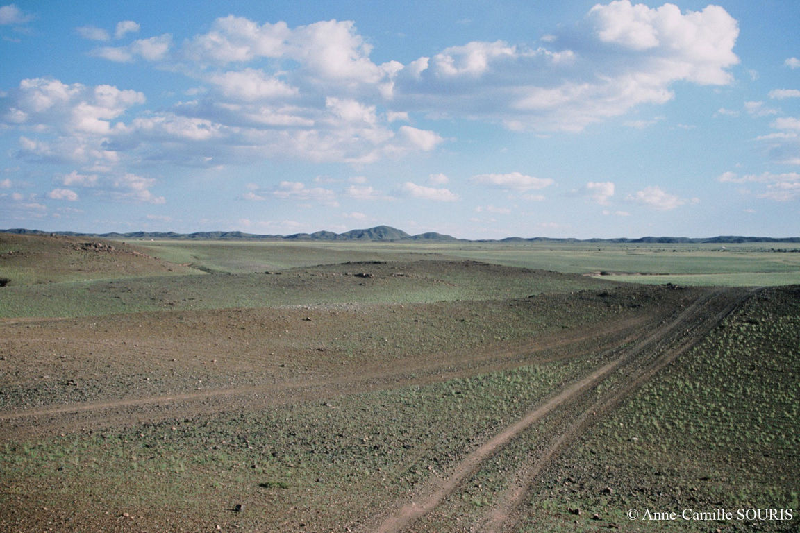 Région du sud Gobi, Umnugovi aimag