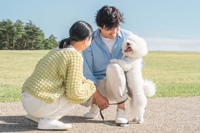 361【不登校】#235　子どもが不登校になりました。どうしたら良いのでしょうか。