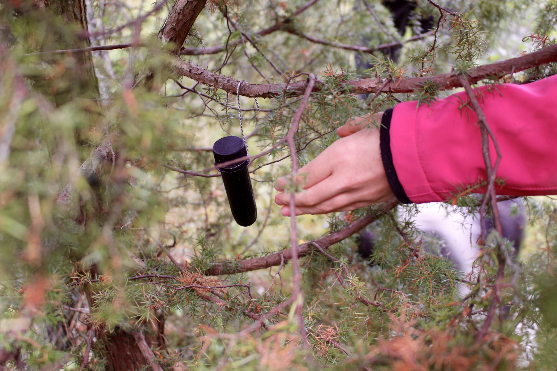 Geocache gefunden, Schatz gehoben. Unser erster Cache in Schweden