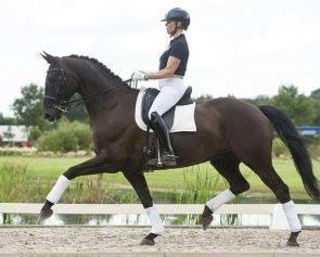 Prix St. George level sold to Sweden