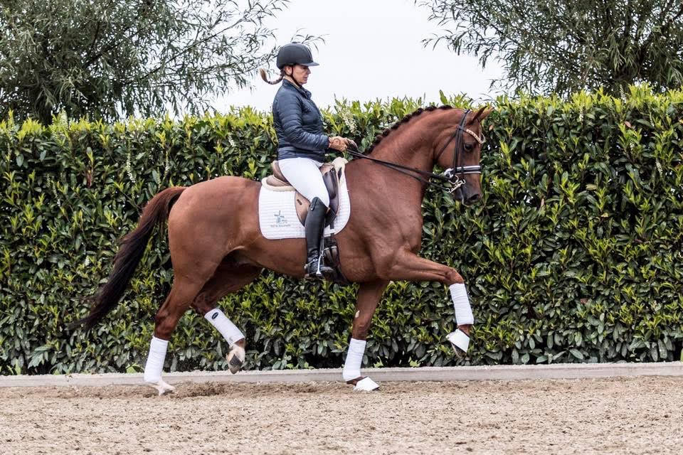 GP level sold to Mexico
