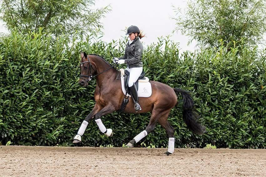 Medium level sold to the UK