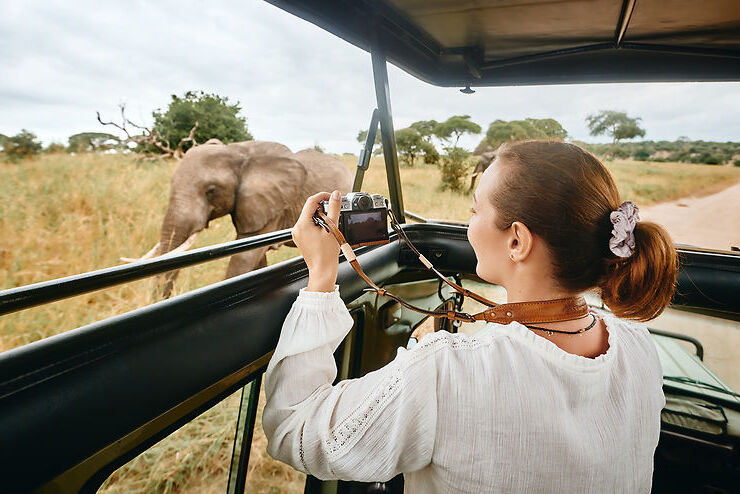 safari photo