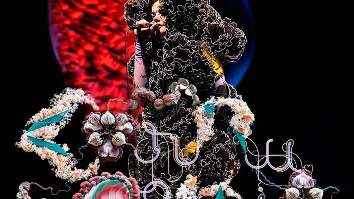 Die isländische Sängerin Björk bei einem Auftritt. Bild von bjoerkcornucopia.com.