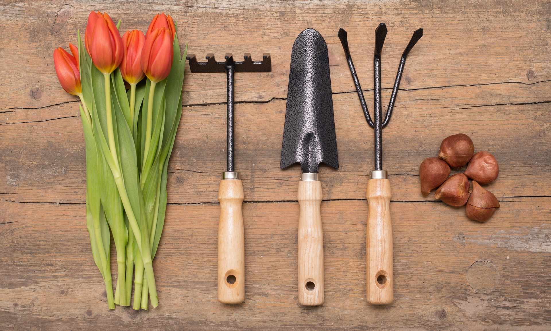 Service rund um Haus und Garten Dienstleister Skorupinski Service rund um Haus und Garten Dienstleister Skorupinski