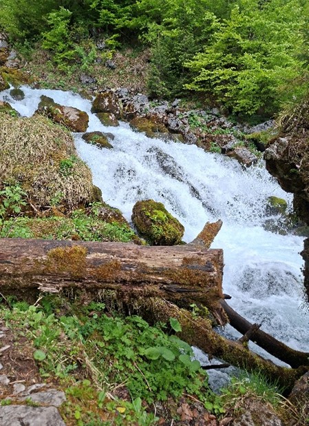 Wasserfälle-Arlstein Rundwanderung in Abtenau 