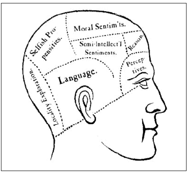 La Funcion Cognitiva Lenguaje Y Sus Componentes Estimulacion Cognitiva Global