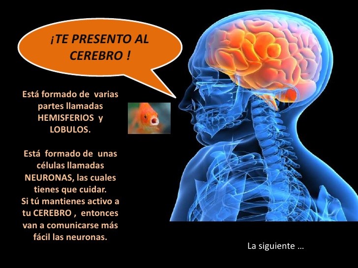 CUIDA Y ESTIMULA TU CEREBRO - ESTIMULACIÓN COGNITIVA GLOBAL