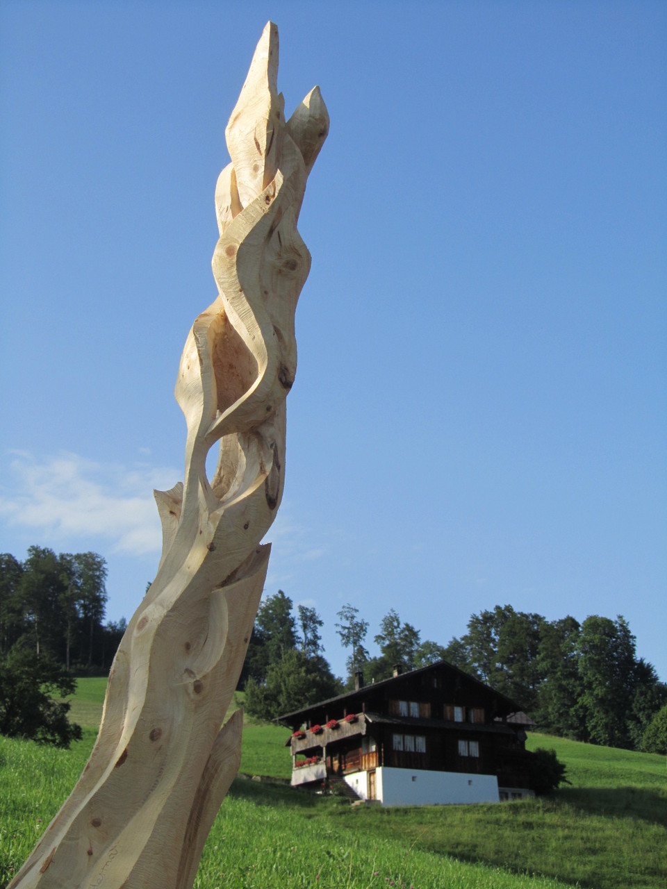 Hochgewachsen
