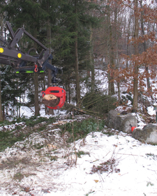 Der Baumgreifer im Einsatz