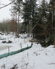 Der winterliche Laichersatzweiher