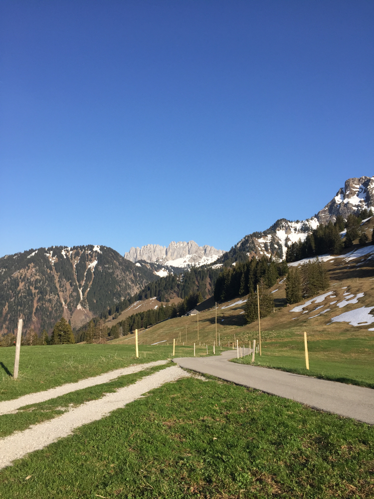 Weggenossenschaft Tossen