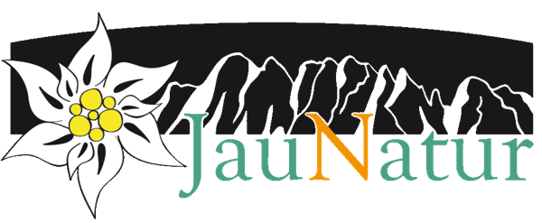 Jauner Blog - Marlies Remy