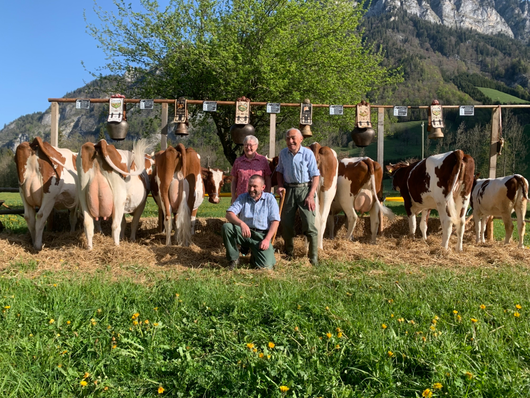 Zuchtfamilienschau in der Praz-Jean