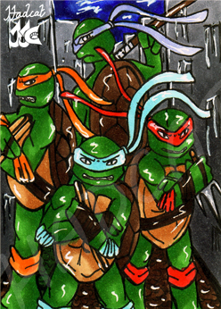 Hadcat KaKAO-card Ninja Turtles