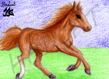 Hadcat KaKAO-card animal foal