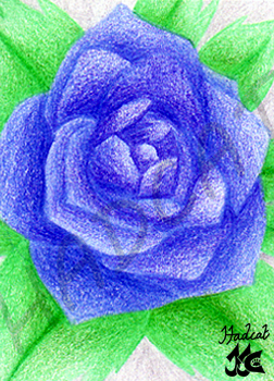 Hadcat KaKAO-card flower blue rose