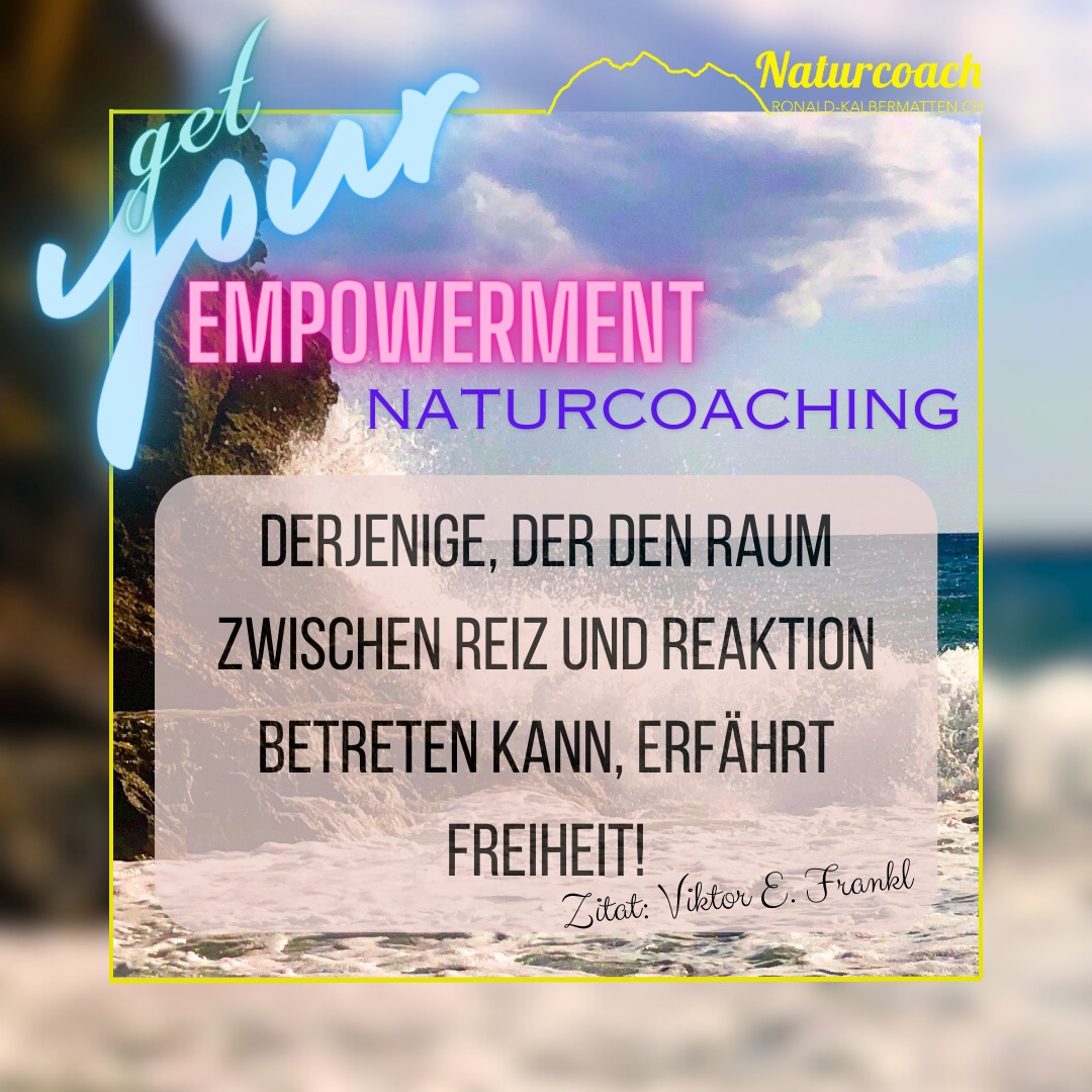 Der Raum zwischen Reiz und Reaktion